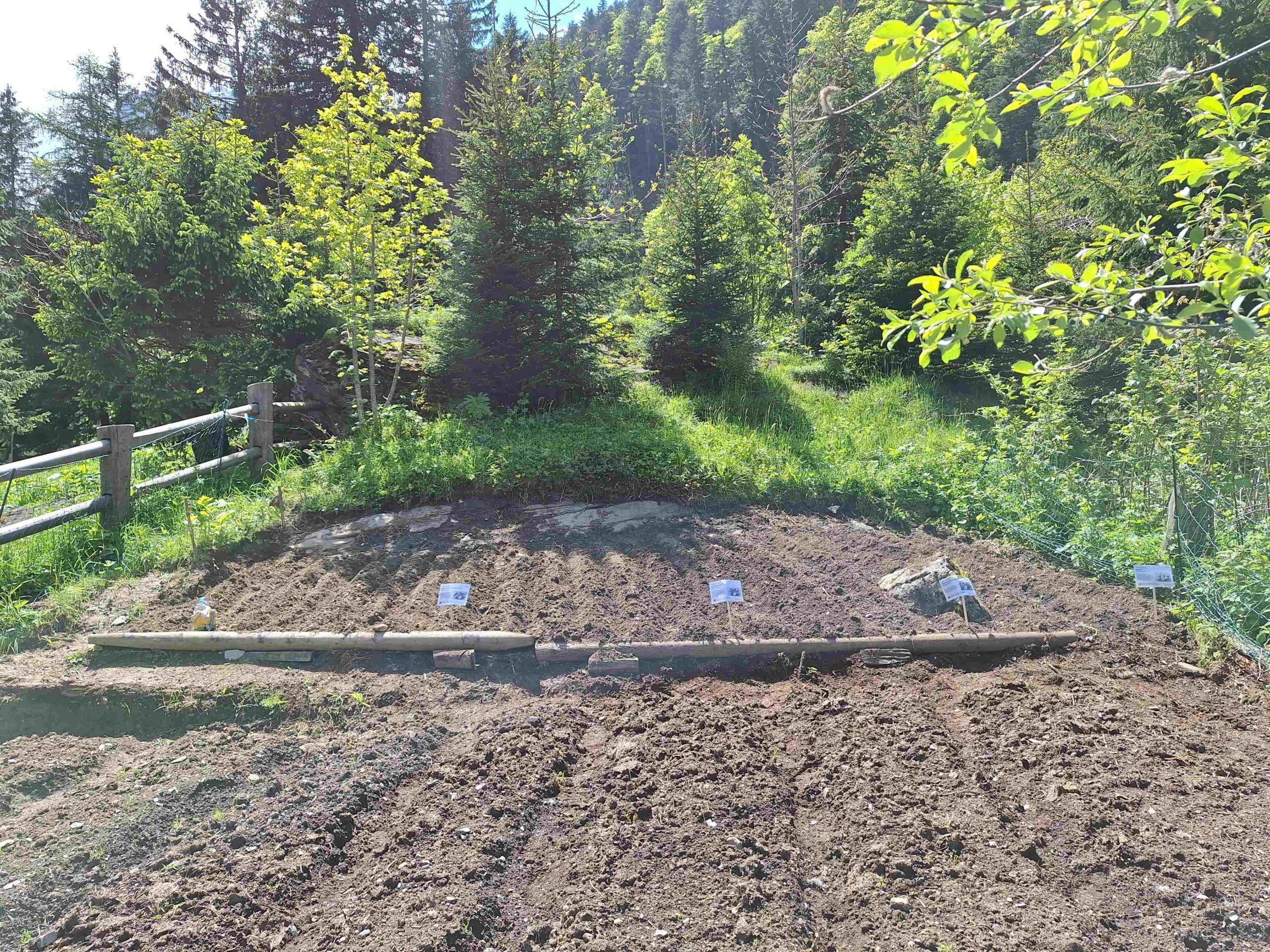 L'association Alpes Vivantes lance pour la deuxième année un potager alpin à Pont-De-Nant